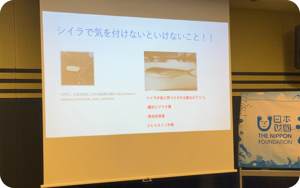 若狭湾とシイラを学ぼう!