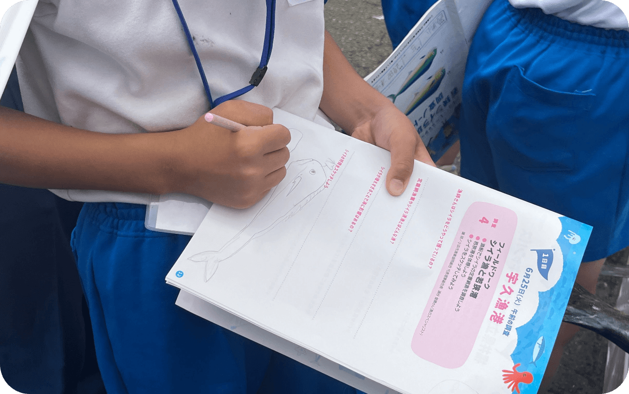 若狭湾とシイラを学ぼう!