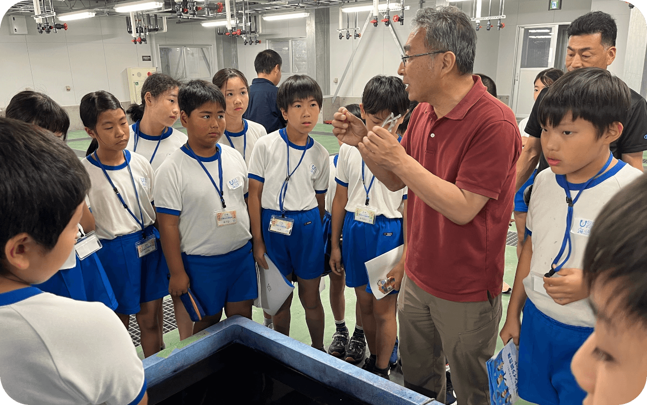 若狭湾とシイラを学ぼう!
