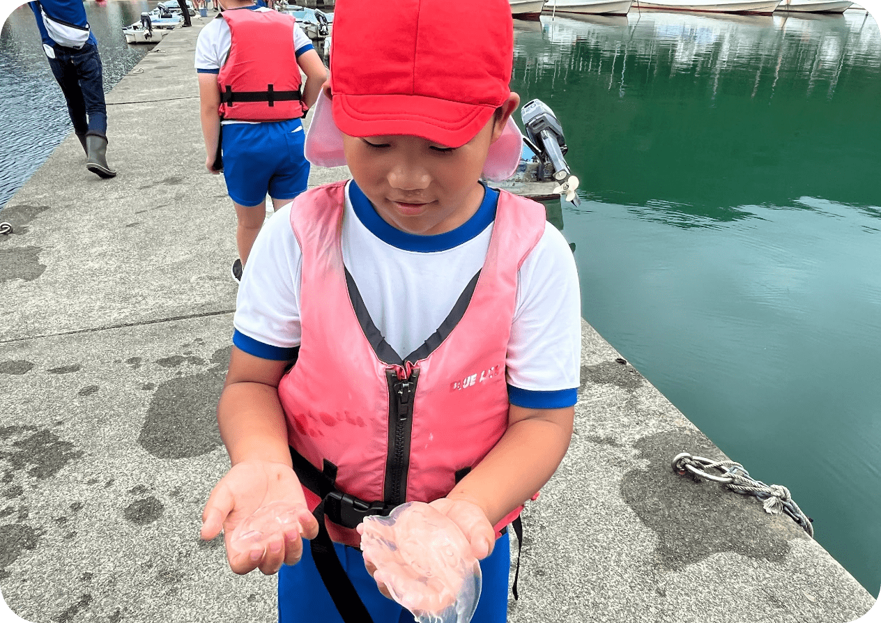 若狭湾の生き物調査・若狭湾体験をしよう！